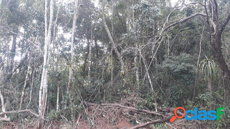 Terreno com 1.000 m², em aclive, possui arvores, fica em