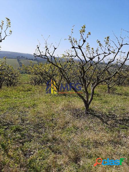 FAZENDA A VENDA EM SÃO MIGUEL ARCANJO-SP