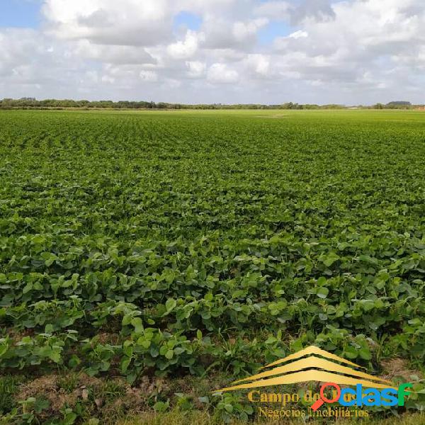 FAZENDA JAGUARÃO 1.800 HECTARES