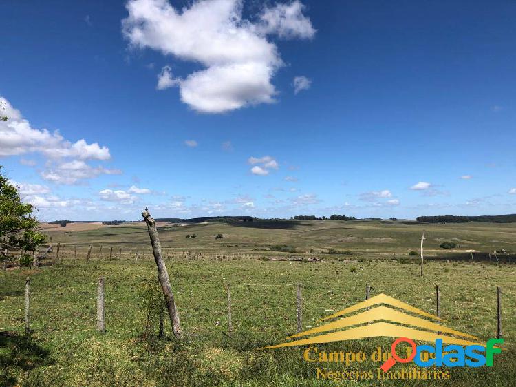 FAZENDA SÃO GABRIEL 1.500 HECTARES ARRENDAMENTO