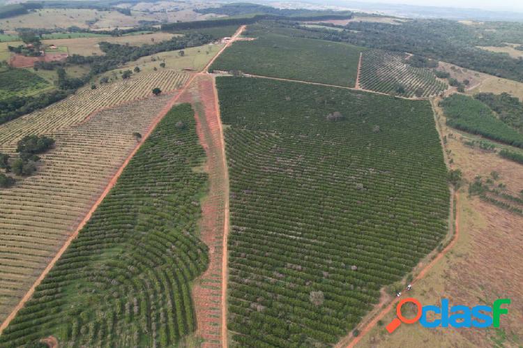 Fazenda de Laranja em Itapetininga