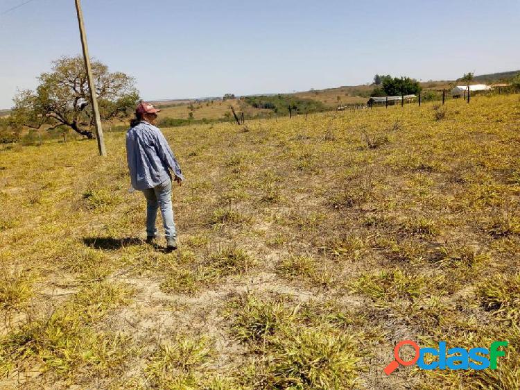 EXCELENTE ÁREA DE 4 HECTARES MUNICÍPIO DE CRISTIANOPIS