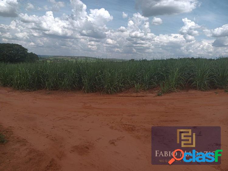 Fazenda a venda região de São Simão SP