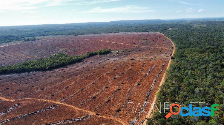 FAZENDA EM SÃO VALÉRIO-TOCANTINS: Oportunidade de