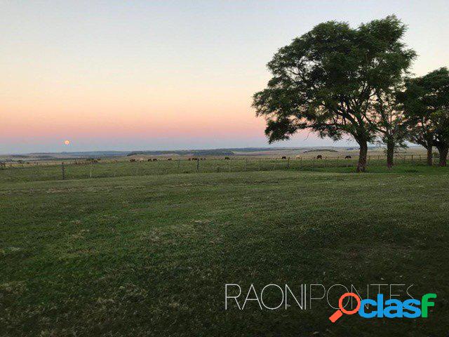 Fazenda Cinamomo: Uma Oportunidade Única! 2.717 hectares