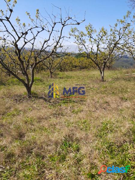 Fazenda a venda em São Miguel Arcanjo 50 Alqueires