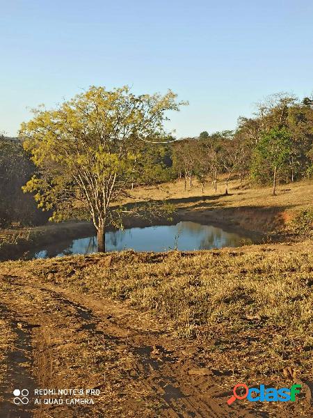 Fazenda à venda em Caturaí--GO ! 43 Alqueires !