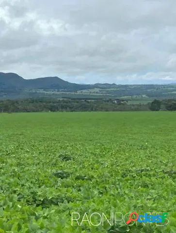 Magnífica Fazenda à Venda - Imperdível! Jaraguá, Goiás