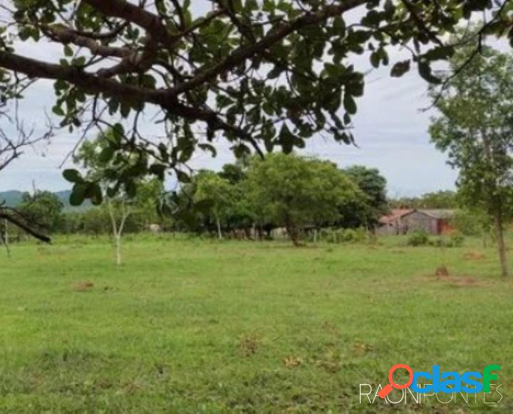 Sitio à venda de 10 Alqueires em Caseara do Tocantins!