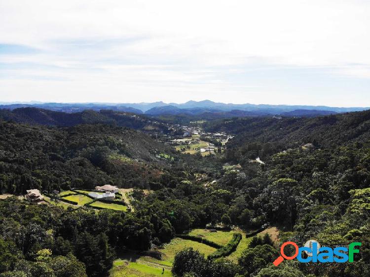 Terreno à venda, 10000 m² por R$ 750.000,00 - Pedra Azul -