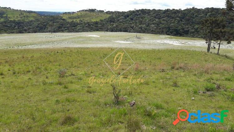 FAZENDA PARA AGRICULTURA E PECUÁRIA LOCALIZADA MUNICÍPIO