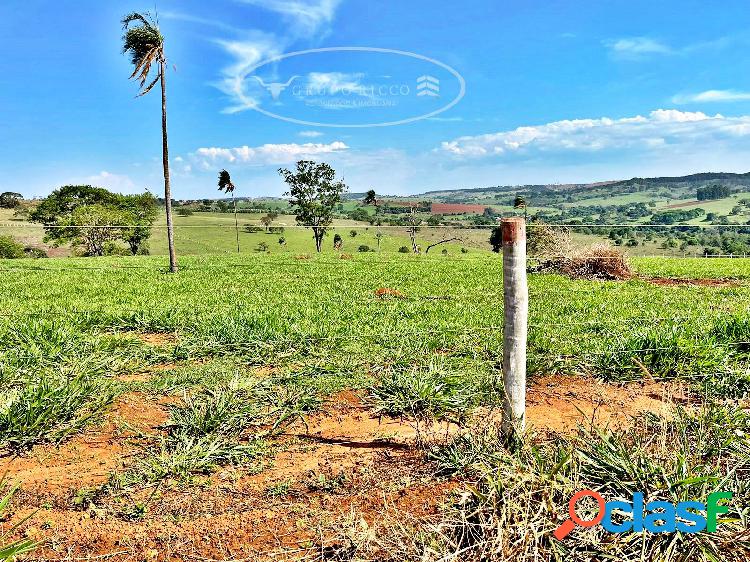 Chácara em Ouro Verde ! 3 Alqueires ! Oportunidade !