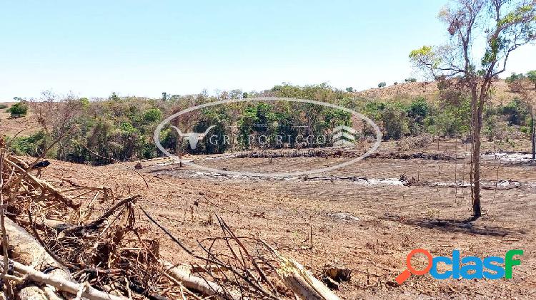 Fazenda de oportunidade região Araguaçu - Tocantins! 85