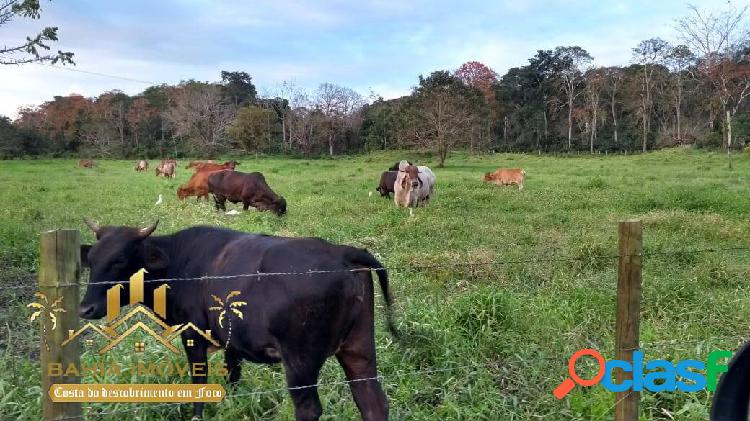 Fazenda na Região Cacaueira da Bahia