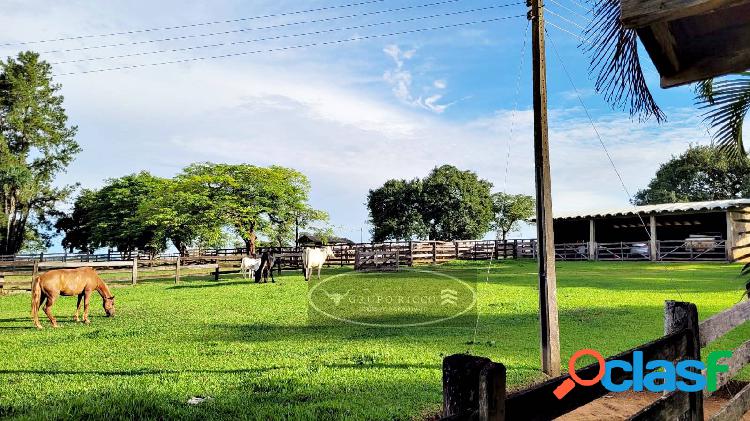 Fazenda na região de Santo Antonio de Goiás ! 41 Alqueires