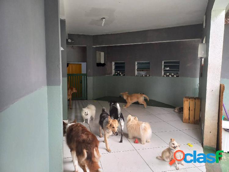 Pet Shop* Hotel e Day Care> Jabaquara.