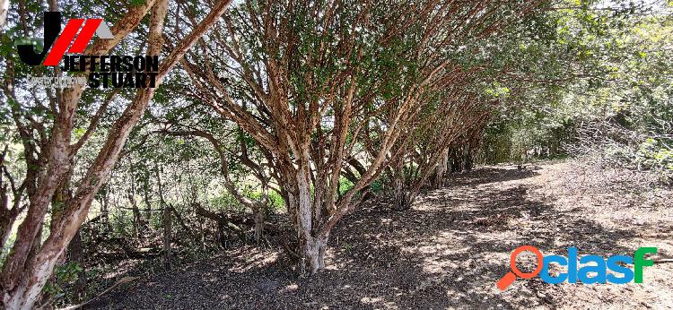 Terrenos de 1000 m2 ideal para chácara com vista para