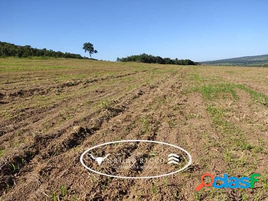 Fazenda de oportunidade em Torixoréu - MT! 1.450 hectares!