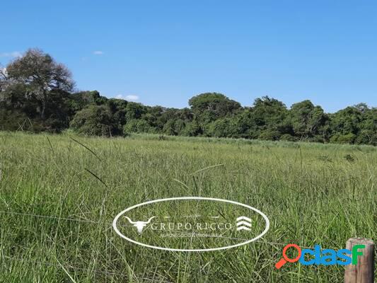 Fazenda no município de Araguaiana - MT! 1.452 hectares!