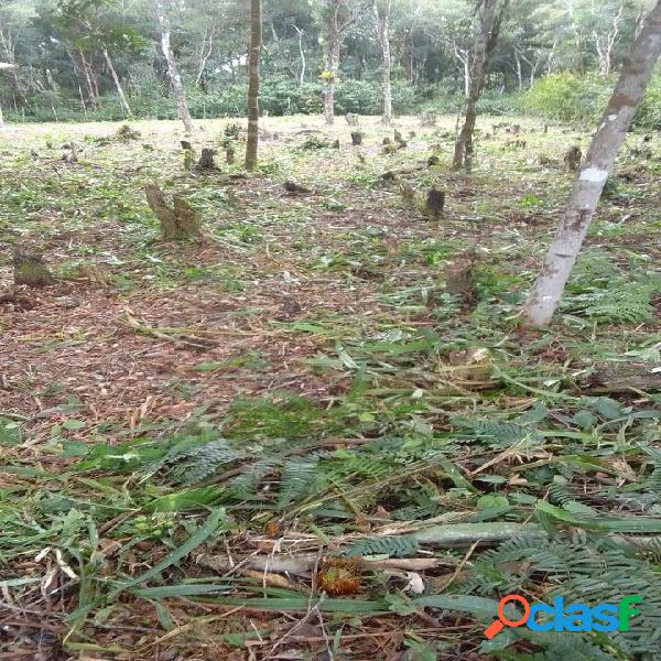 TERRENO 1200,60M² LADO PISTA BALNEÁRIO PARANAPUAN