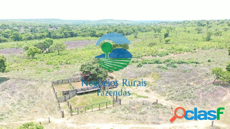 Fazenda 55 Alqueires Goiano ou 266 hectares Sul do Tocantins