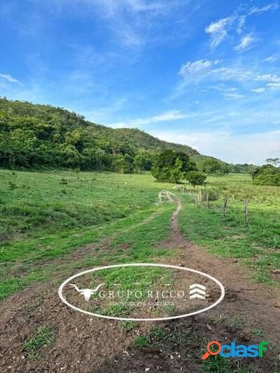 Fazenda na região de Nova Xavantina - MT! 147 Hectares!