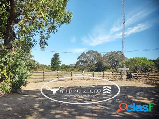 FAZENDA DE POSSE MUNICÍPIO DE RIBEIRÃO CASCALHEIRA - MT!