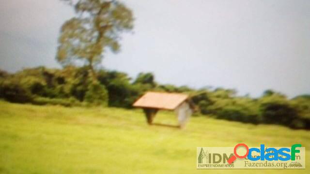 Fazenda Transpantaneira Pecuária com 87.870 ha em Poconé -