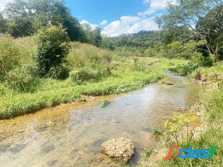 Fazenda de Oportunidade em Aguas Lindas- GO ! 90 Alqueires !