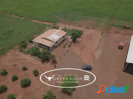 Fazenda em São José do Couto - MT! 1.034 hectares!