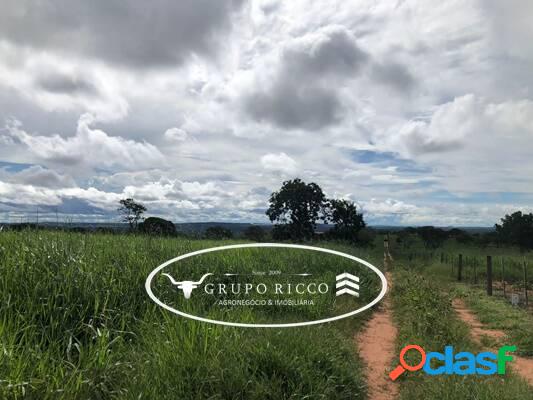 Fazenda no município de Guiratinga - MT! 1.047 hectares.