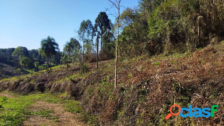 Chácara Campo Largo 20.062m², frente asfalto, 30min Pq