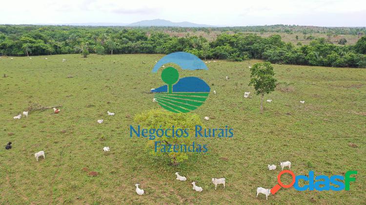 Fazenda 162 Alqueires ou 784 hectares Sul do Tocantins Dupla