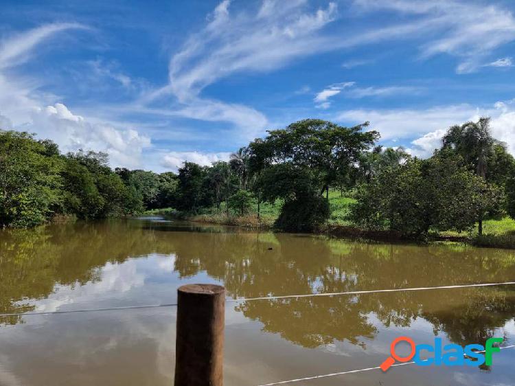 Fazenda Extra - 20.5 Alqueires ! Região de Padre Bernardo !