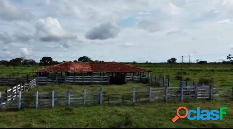 Fazenda Extra Dupla Aptidão - Município de Arinos-MG !