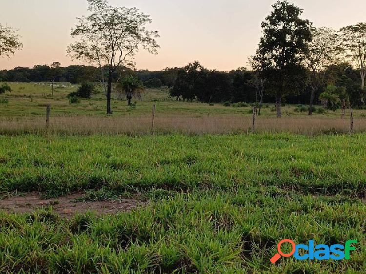 Fazenda de 150 Alqueires ! em Amaralina-Go ! Oportunidade !