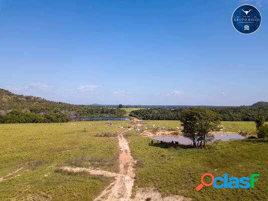 Fazenda de oportunidade localizada no Norte de Tocantins!