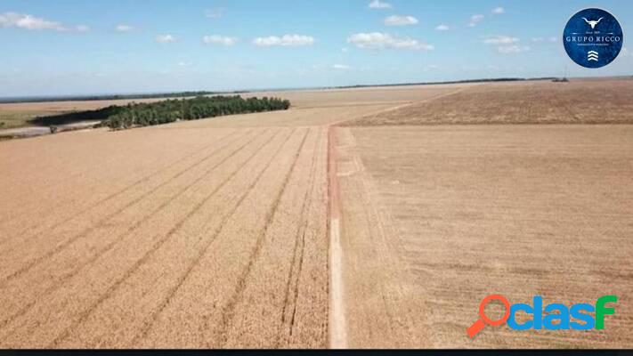 FAZENDA NA REGIÃO DE CONFRESA - MT! 39.000 hectares!