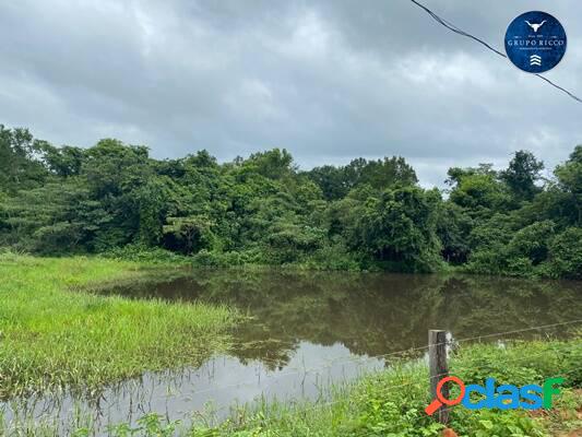 Fazenda próxima à Jaraguá - GO! 70 alqueires!