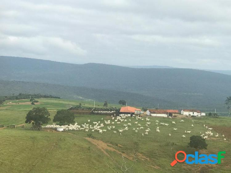 Fazenda com, 1860ha, à venda em Jaguaquara