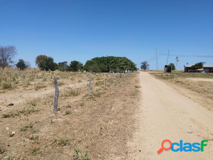 Fazenda com 2.500 hectare Cidade Santa Rita de Cássia.