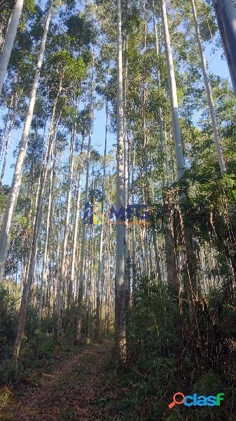 Fazenda em Jacupiranga/SP