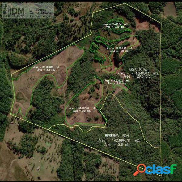 Fazenda plantio de pinus com 72 ha em São Cristovão do Sul