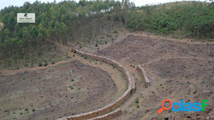Sítio para Venda em Bairro do marmelo Mairiporã-SP - 346
