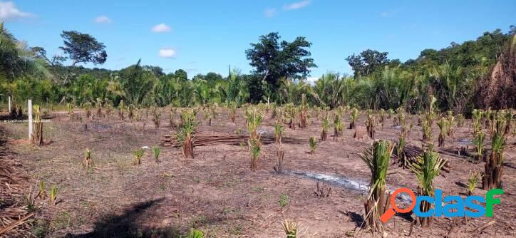 Terreno Urbano para Venda em Teresina / PI no bairro Angelim