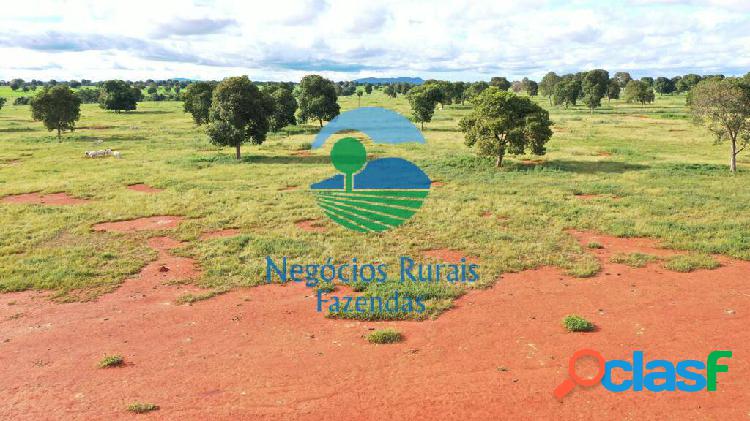 Fazenda 244 Alqueires ou 1.180 Hectares Vale do Araguaia