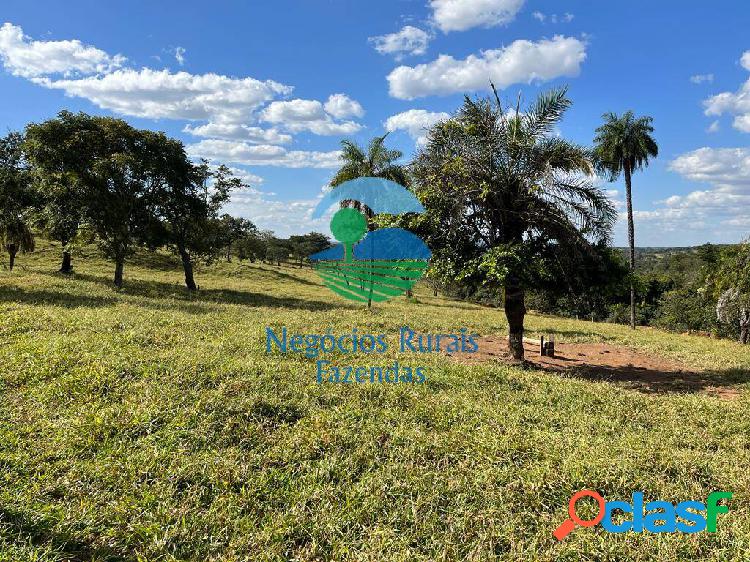 Fazenda 42.5 Alqueires ou 206 hectares 75 Km de Goiânia -