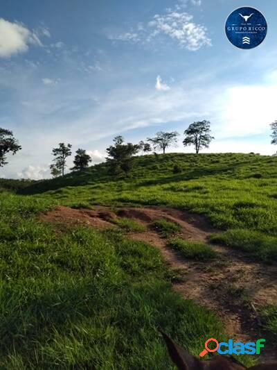 FAZENDA NA REGIÃO DE NOVA XAVANTINA - MT! 396.9 Hectares