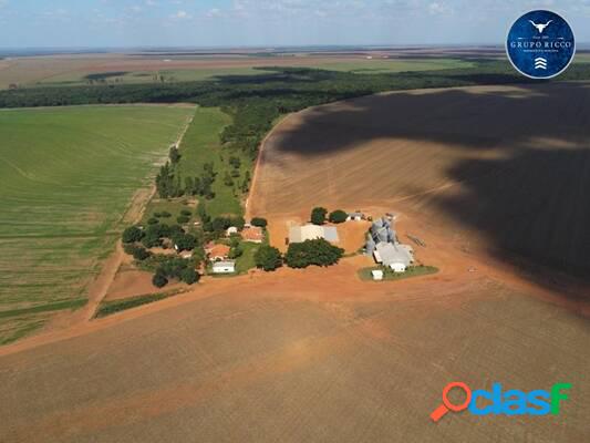 Fazenda em Santo Antônio do Leste - MT! 1.214,62 hectares!