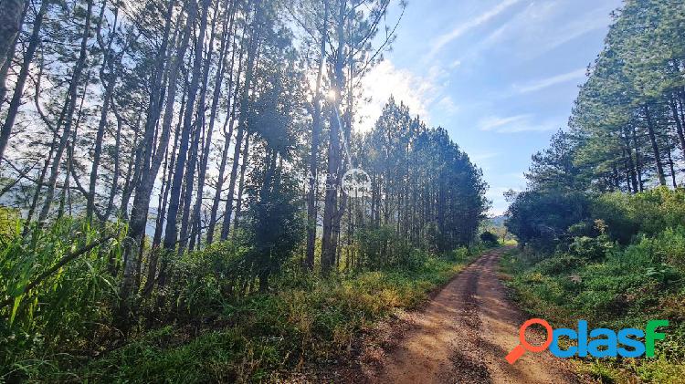 Terreno, 3,6ha, à venda em Gramado, Linhas Fumas